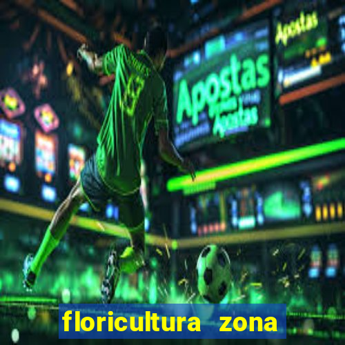 floricultura zona sul porto alegre